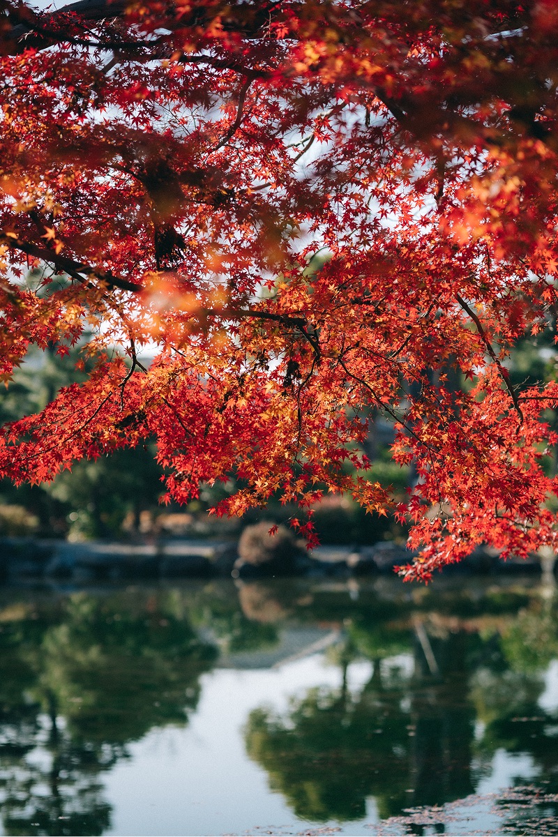 紅葉の京都