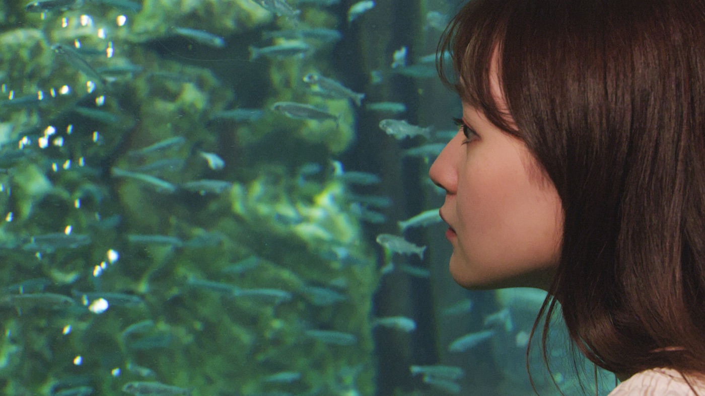 水族館で展示を見つめる人