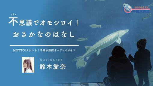 千歳水族館の音声ガイド